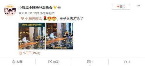 小海绵最新爆料辟谣视频,揭秘真相背后的真相  第2张